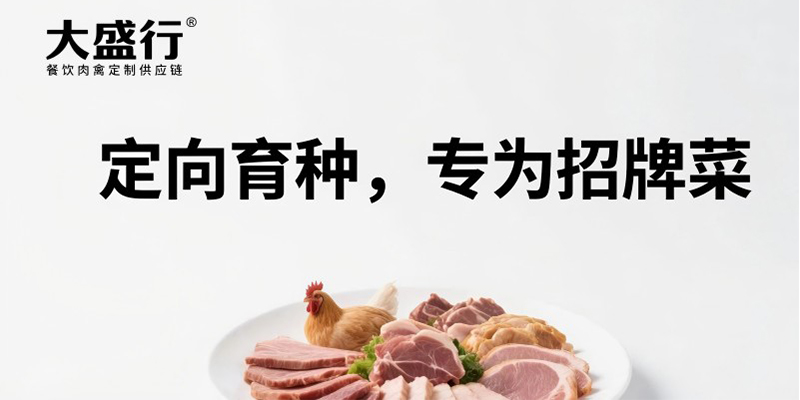 大盛行肉禽供应链品牌策划案例