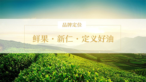 初典核桃油营销策划案例,初典核桃油营销策划,核桃油营销策划