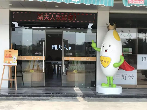 潮夫人大米品牌营销,大米品牌营销,潮夫人大米