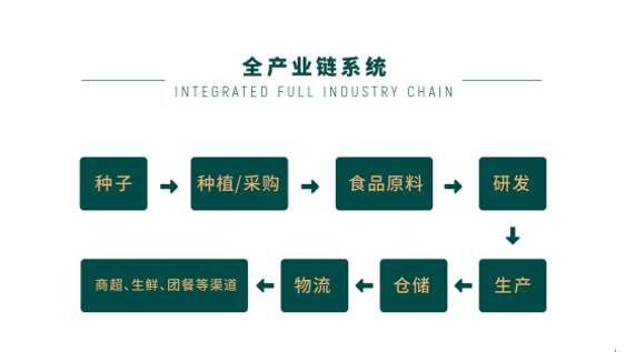 产业城营销策划,北大荒生态产业城营销策划